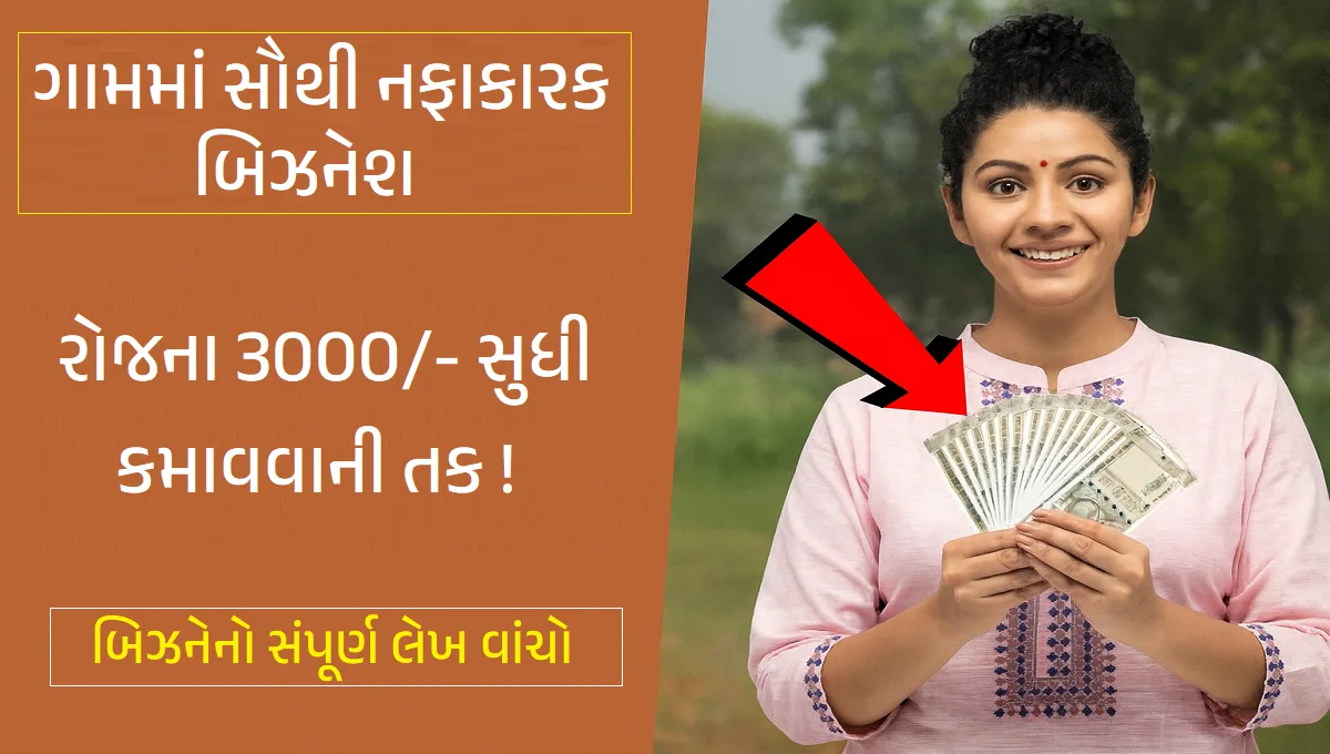 ગામમાં સૌથી નફાકારક ધંધો